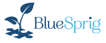 Blue Sprig