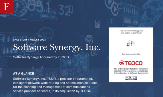 software synergy case study