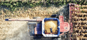 agribusiness fields